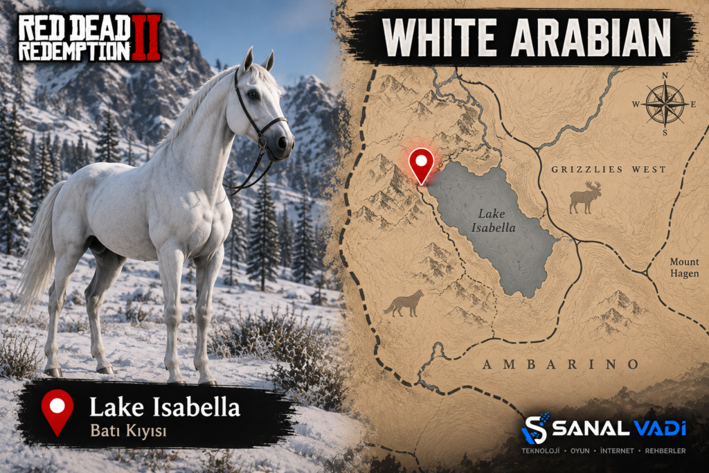 RDR2’de ( Beyaz Arap Atı ) Nasıl Bulunur?